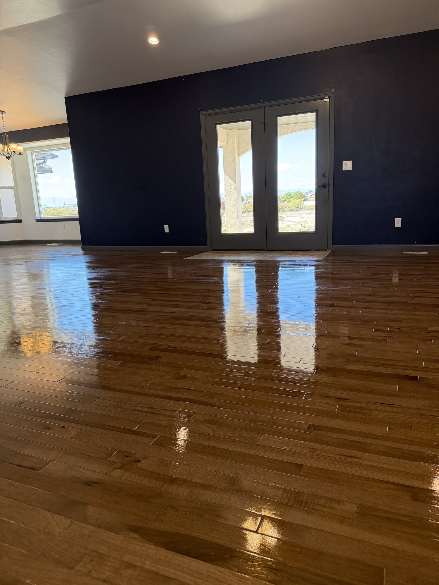 Completed customer cleaning project with polished wood floors and a bright living area